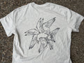 Seraphim Seagull